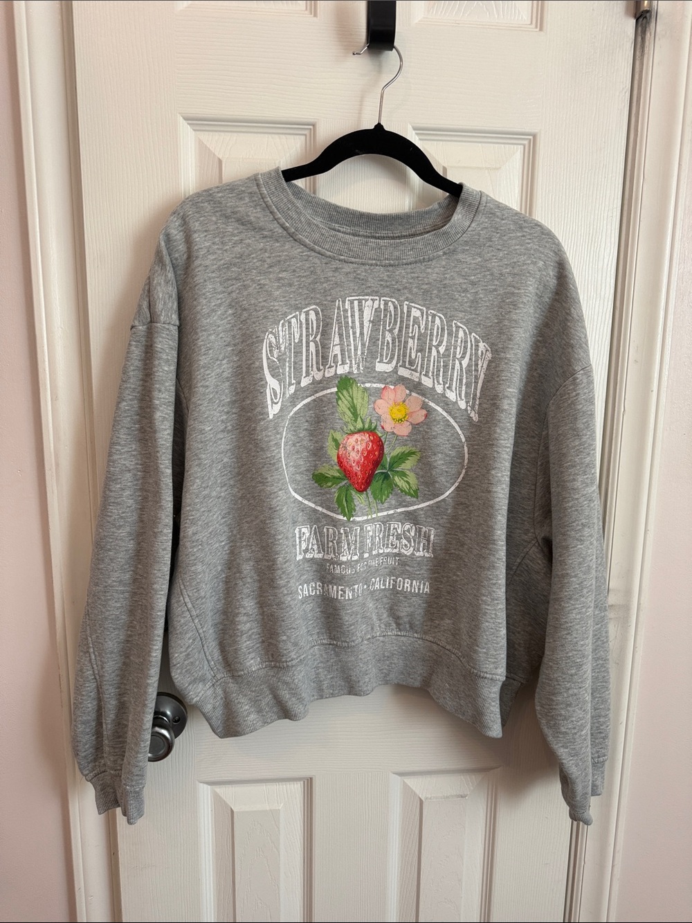 Gray Strawberry Graphic Crewneck Sweatshirt